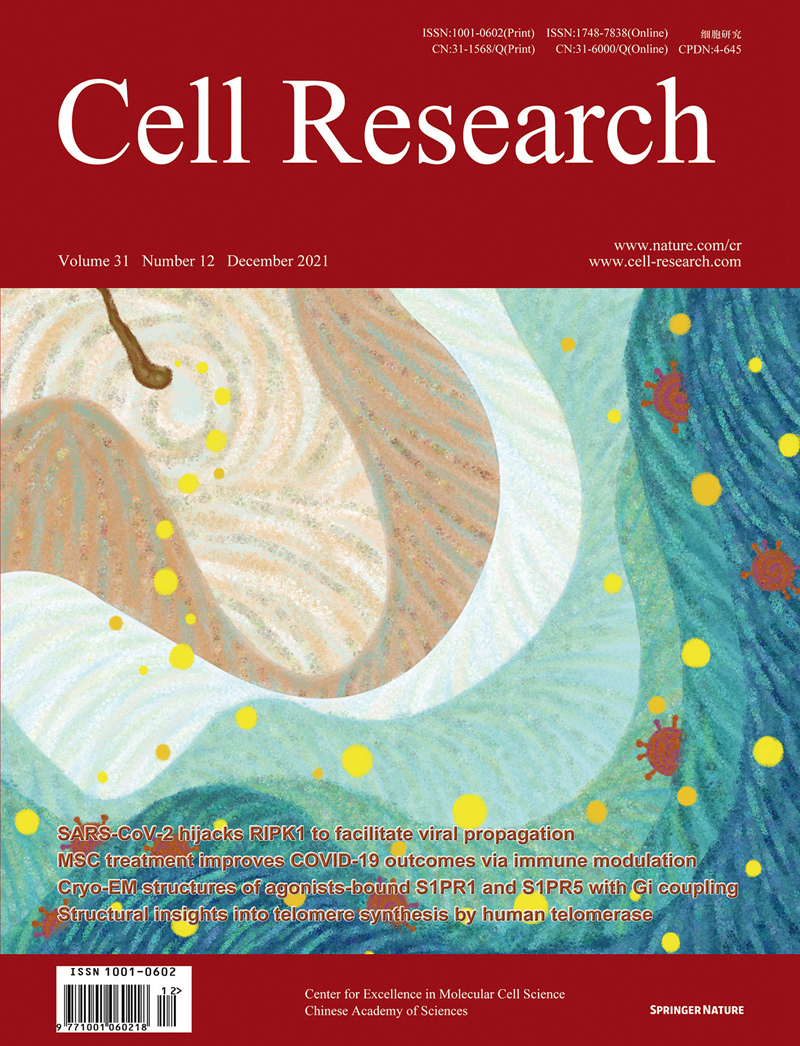 科学之美，跃然纸上——2021年中国卓越科技期刊十大最美封面发布